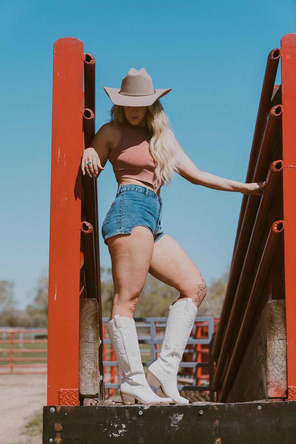 The Ashley Denim Shorts