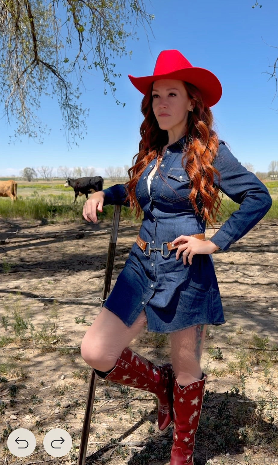 Sweet Magnolia Denim Dress