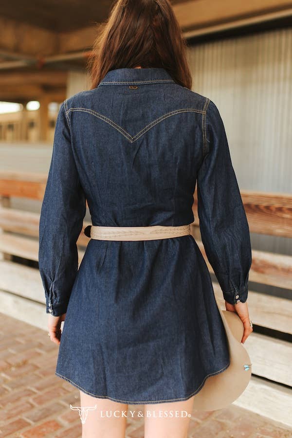 Sweet Magnolia Denim Dress