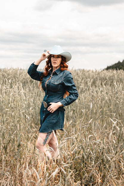 Sweet Magnolia Denim Dress