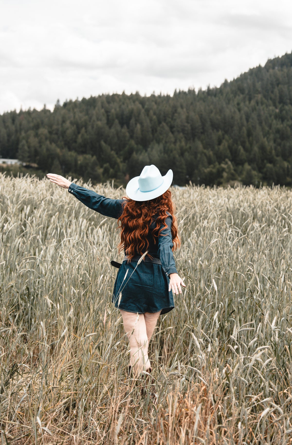 Sweet Magnolia Denim Dress