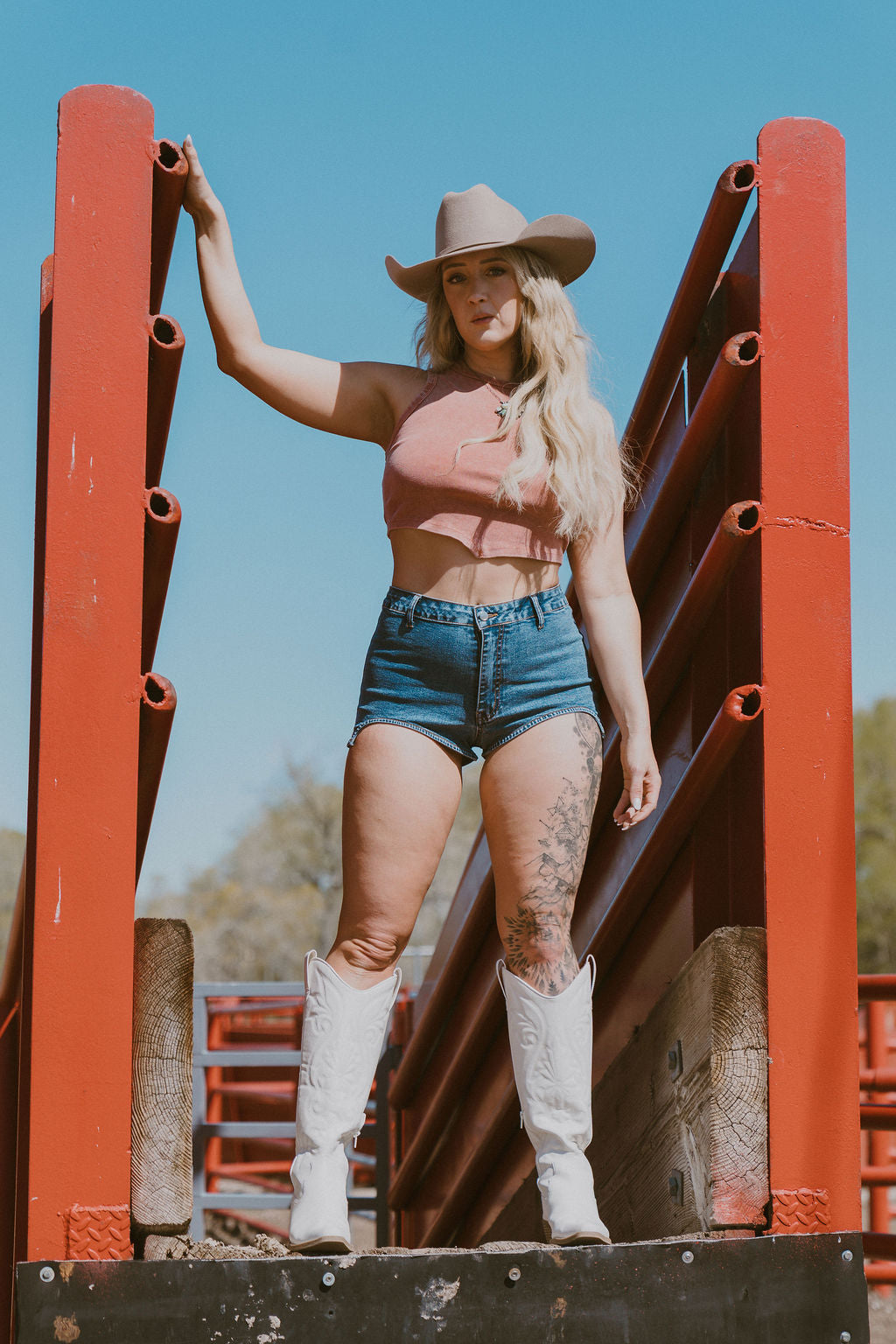 The Ashley Denim Shorts