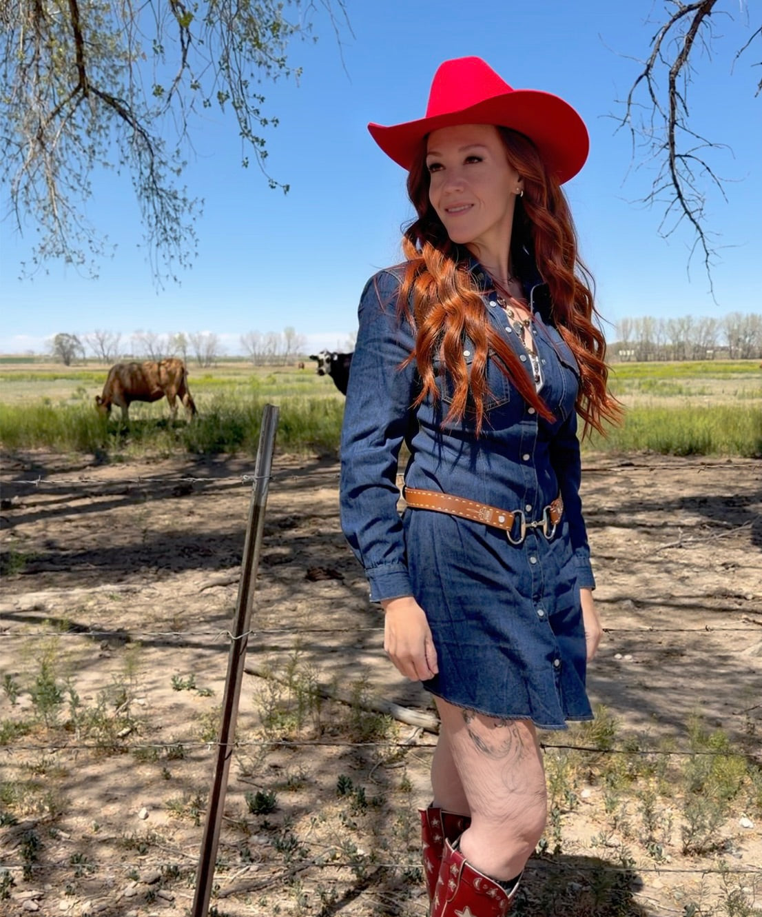 Sweet Magnolia Denim Dress