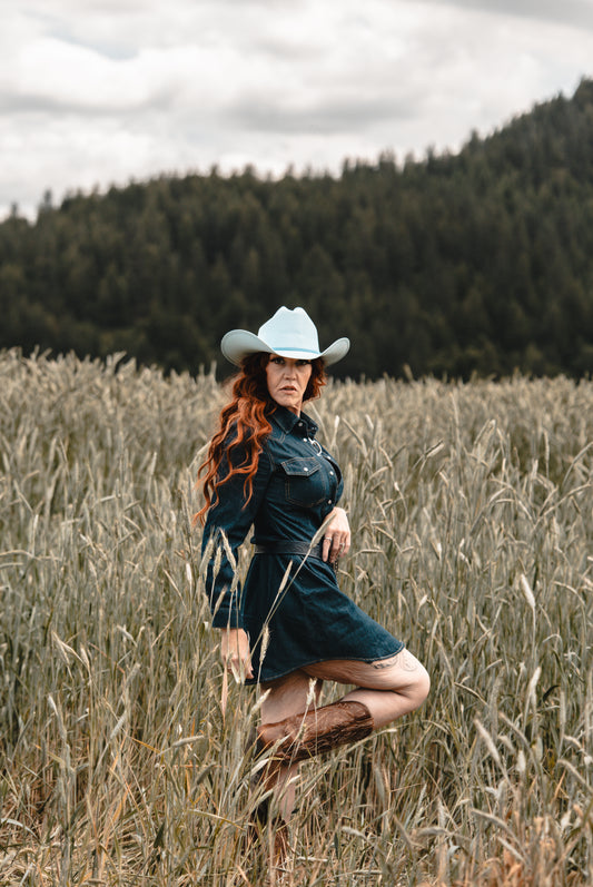 Sweet Magnolia Denim Dress